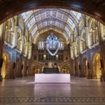 Photo Credit: Trustees of The Natural History Museum, 2018